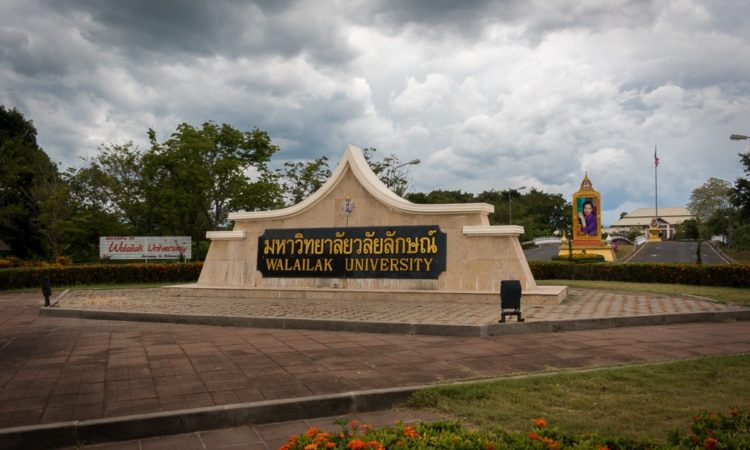 mladiinfo