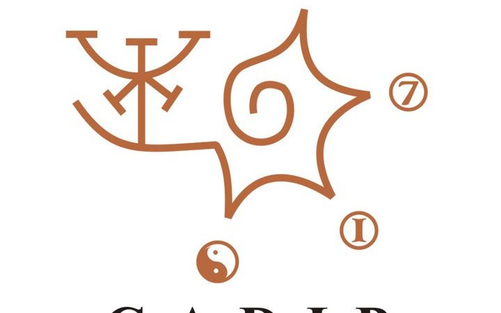 Cadip logo