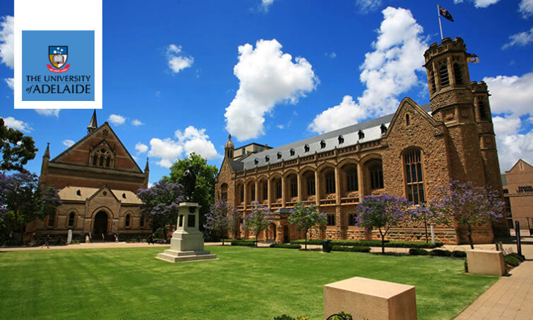 The University of Adelaide
