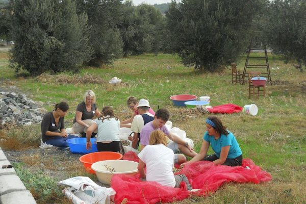 Volunteer projects in Turkey
