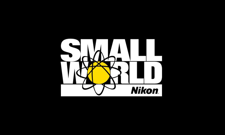 Nikon Small World