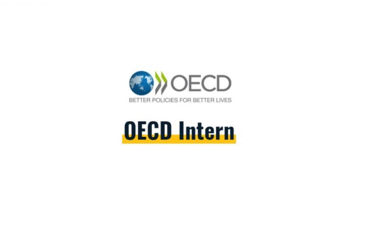 OECD intern