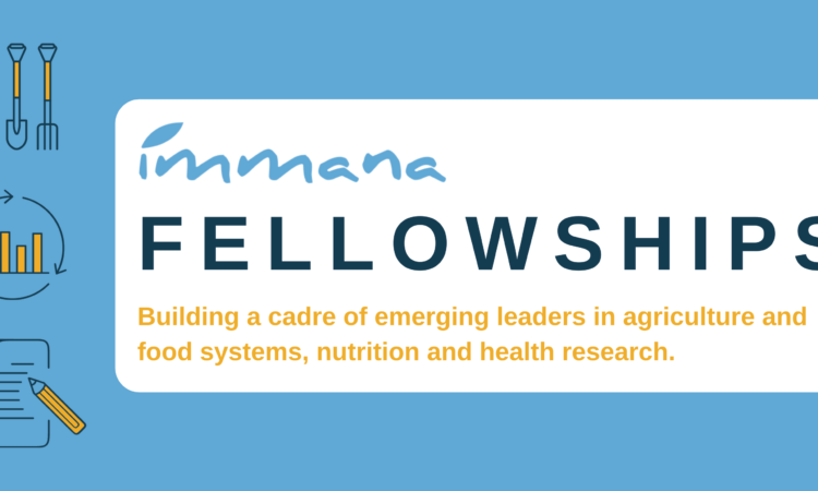 IMMANA Fellowships
