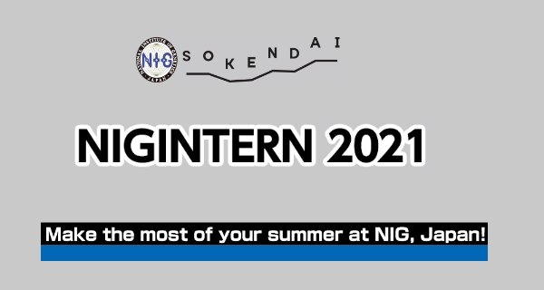 NIGINTERN Program 2021