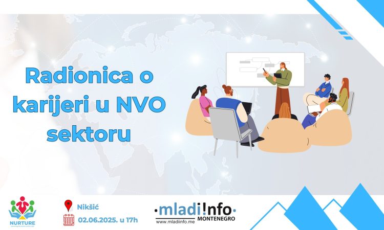 mladiinfomne radionica u niksicu