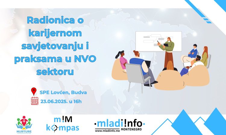 mladiinfo poziv za radionicu u budvi