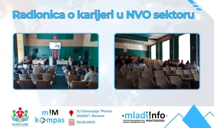 mladiinfomne radionica u beranama