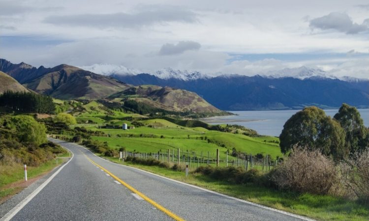 Novi zeland