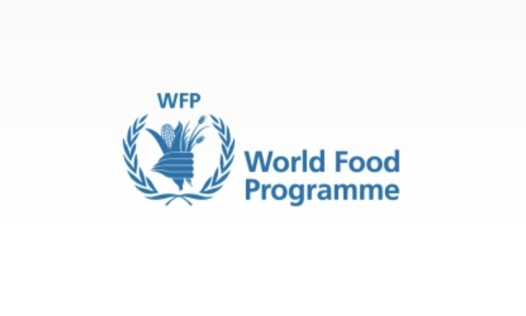 World food programme logo