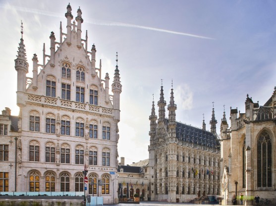 na slici je grad leuven