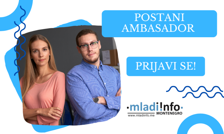 call for ambasadors