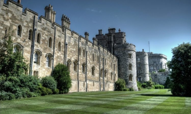 Cambridge courses