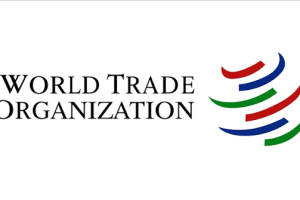 Internship at World Trade Organization