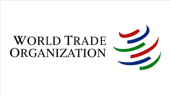 Internship at World Trade Organization