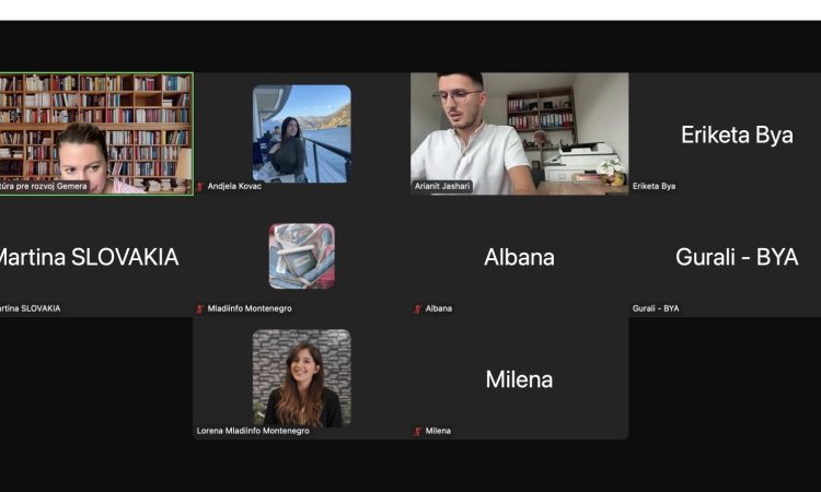 mladiinfo soen sastanak