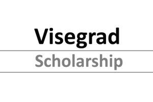 Na slici je natpis Visegrad stipendija