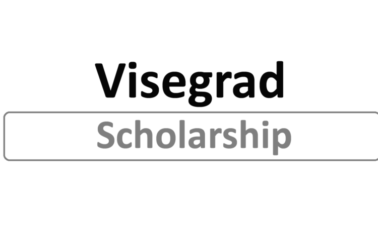 Na slici je natpis Visegrad stipendija