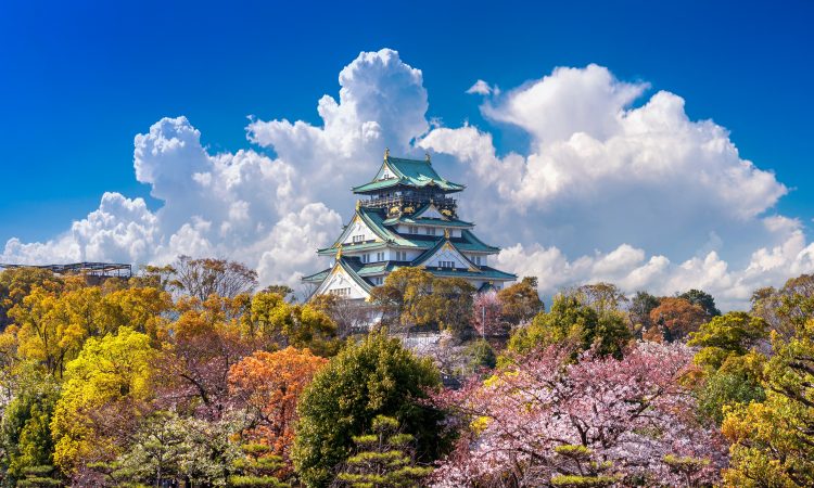 Cherry blossoms and castle in Osaka, Japan.
