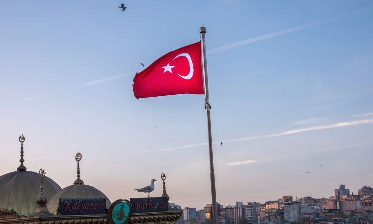 Red flag of Turkey in the foreground of flying seagulls and local architectural buildings