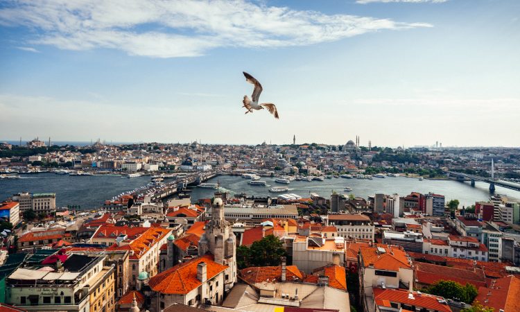 A shot of a scenic city view taken from the top of the tower in Istanbul city