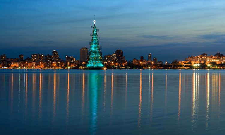A beautiful shot from Rodrigo de Freitas Lagoon, Rio de Janeiro, Brazil