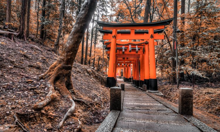 forest-with-japanese-structure